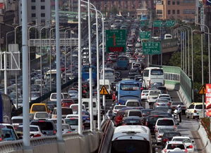 牌玺京牌代办不是你想的那样！老司机教你避开这5大雷区